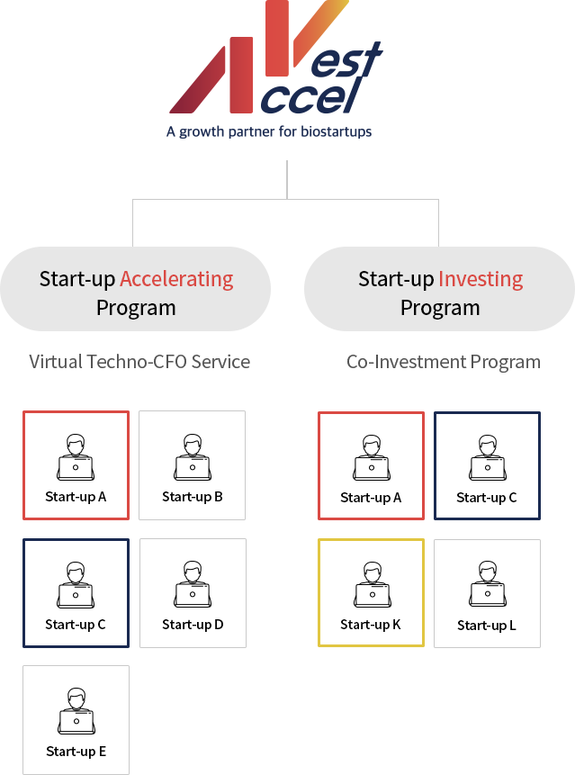 Start-up Accelerating Program(Virtual Techno-CFO Service)/Start-up Investing Program(Co-Investment Program)